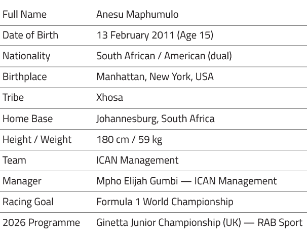 Anesu Maphumulo - Ican Drivers Profile image-02